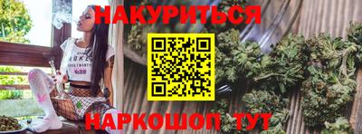 трава Новокубанск