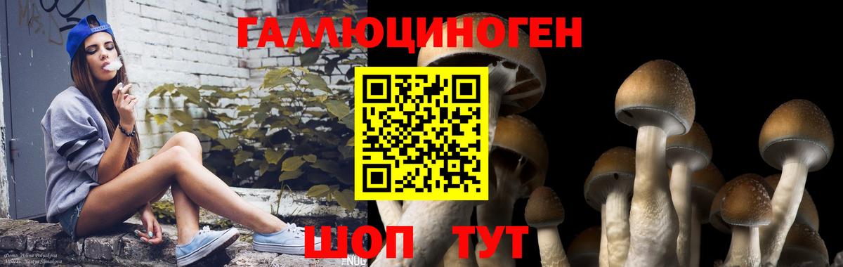 Галлюциногенные грибы GOLDEN TEACHER  Вход с VPN  Тольятти 